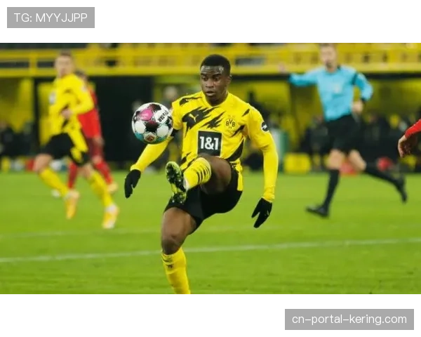 科维尔恰诺基地更新教练课程,新增“现代混合防守战术理论”模块